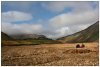 6/landmannalaugar  95 (Small).jpg